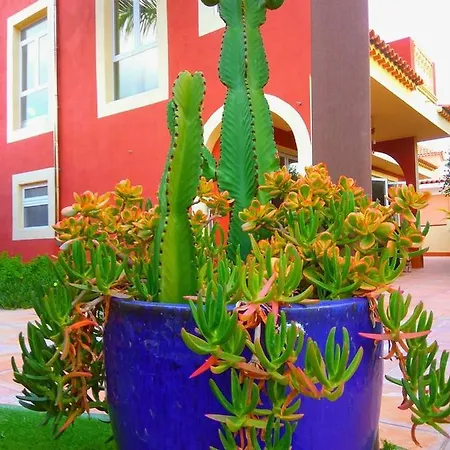 Casa Viera * Buzanada